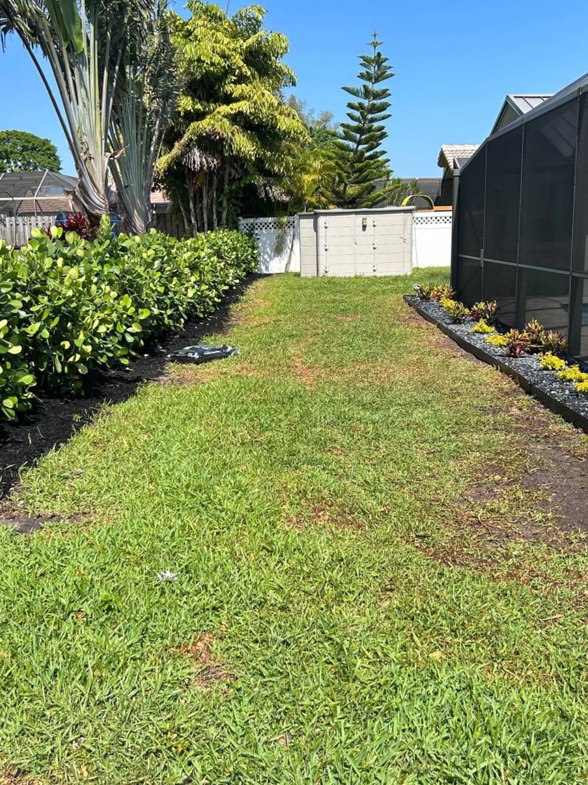 A beautifully landscaped yard featuring a sparkling pool surrounded by lush greenery and vibrant flowers.