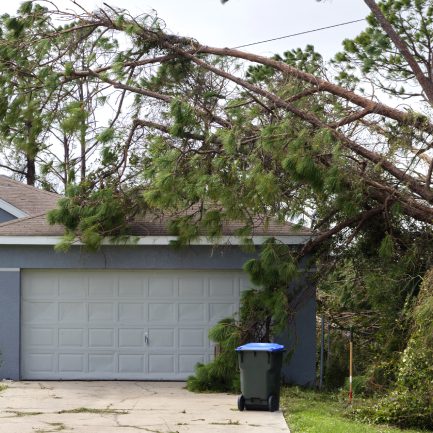 An uprooted tree lies in front of a house, showcasing the impact of a recent storm or natural disaster.