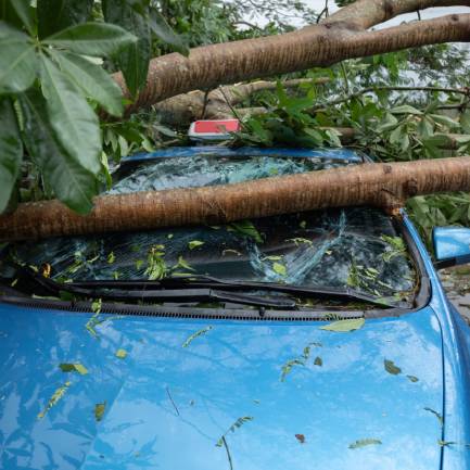 Broken tree fallen on top of parking car,damaged car after super typhoon Mangkhut in China